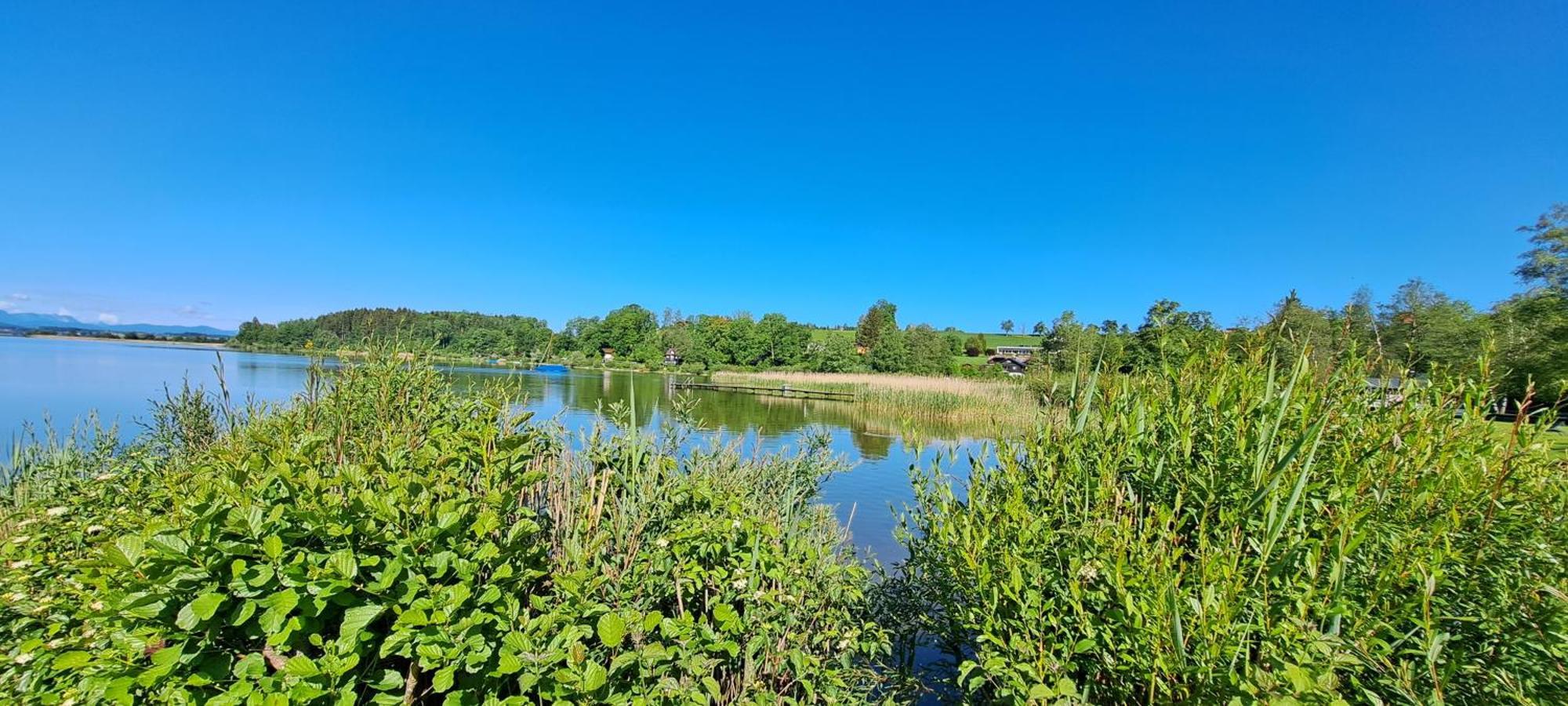 Ferienwohnung Wallersee Neumarkt am Wallersee Buitenkant foto